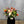 Load image into Gallery viewer, Nascency&#39;s Tulips
