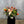 Load image into Gallery viewer, Nascency&#39;s Tulips
