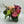 Load image into Gallery viewer, Chloé
