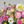 Load image into Gallery viewer, Design Chooice
