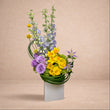 Load image into Gallery viewer, Delphine
