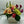 Load image into Gallery viewer, Chloé
