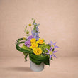 Load image into Gallery viewer, Delphine
