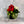 Load image into Gallery viewer, Merlina
