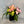 Load image into Gallery viewer, Merlina
