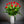 Load image into Gallery viewer, Classique
